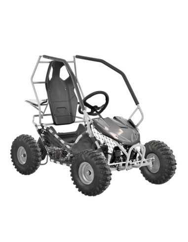 Buggy electric HECHT54899SILVER, 500W