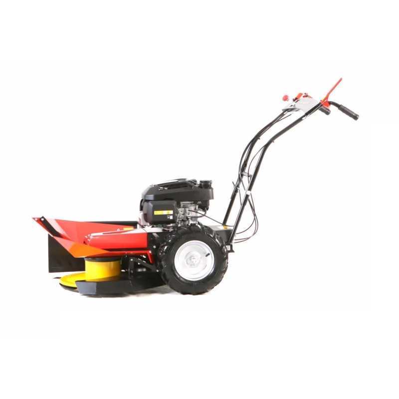 Titan Shop |Motocositoare Vari BDR-620DZ Dorotha Motor Vari XP200