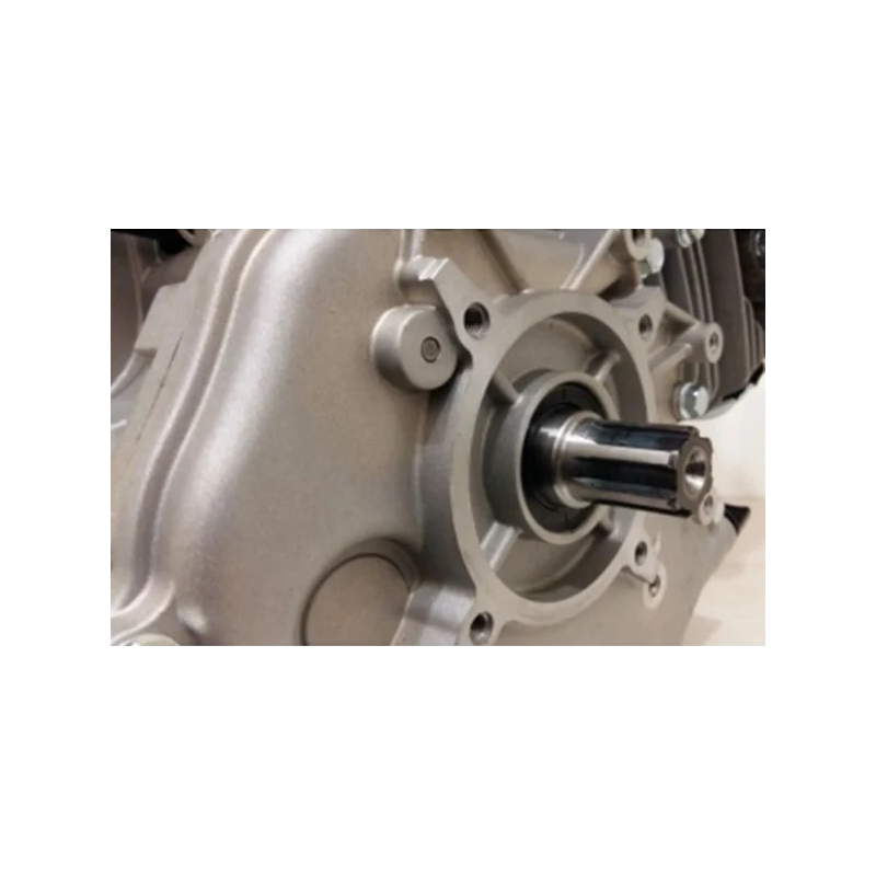 Titan Shop |Motor motorina Weima WM186FE de 9CP ax canelat 25 mm pornire electrica