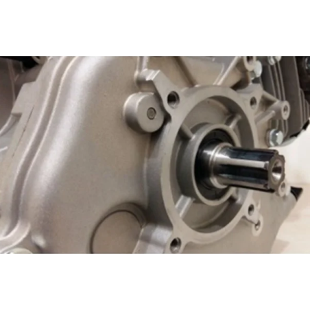 Titan Shop |Motor motorina Weima WM186FE de 9CP ax canelat 25 mm pornire electrica