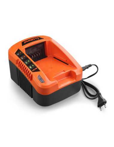 Titan Shop |Incarcator acumulatori 40V 2A Redback EC20