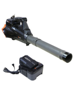 Titan Shop |Suflanta frunze Redback EA460+EA20+EC130 acumulatori 120V