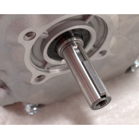 Titan Shop |Motor benzina Weima WM170F de 7CP ax pana 19,05 mm